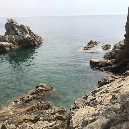 Apartmán T2 Climatise + Parking 500 M Plage/centre
