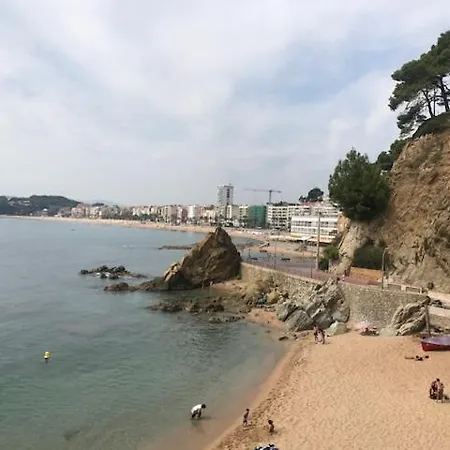 Apartment T2 Climatise + Parking 500 M Plage/centre